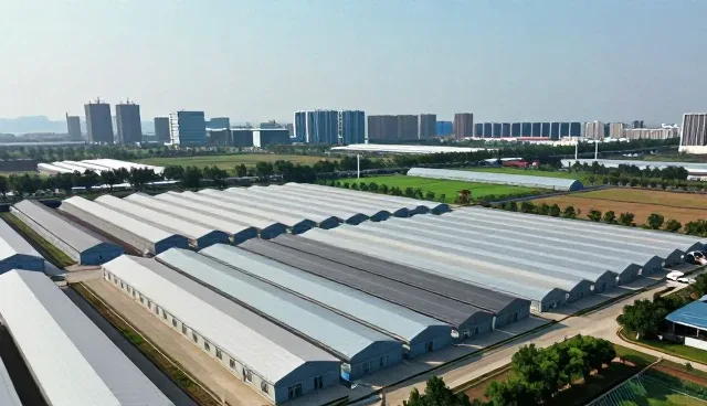 技术培训如何提升用户体验与业务效率